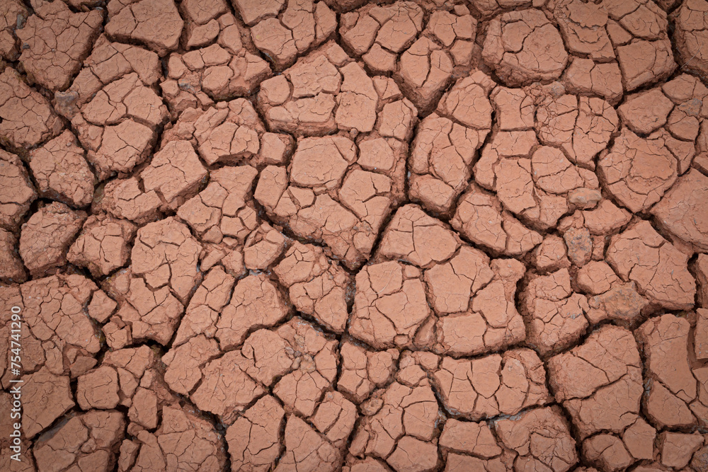 The red soil is cracked and cracked from drought and pollution. The red soil is cracked and cracked from drought and pollution.