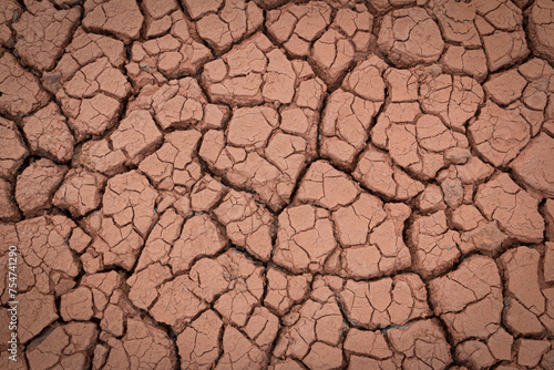 The red soil is cracked and cracked from drought and pollution.