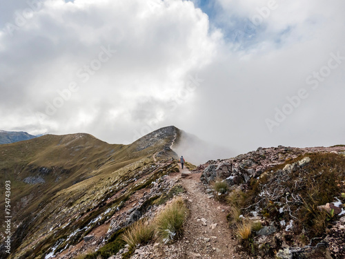 Kepler Track Alpine Landscape featuring Tussock-Covered Ridgelines in Fiordland National Park, New Zealand photo