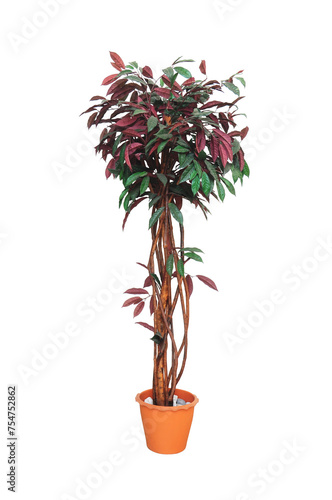 Artificial trees in pots isolated