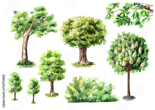Urban trees set  Watercolor hand drawn illustration isolated on white background