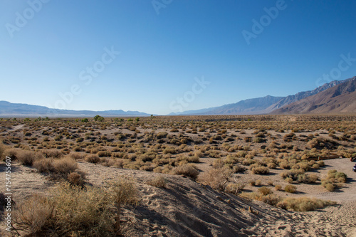 Desert