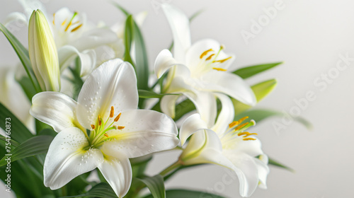 Elegant white lilies with copy space on a light background  ideal for spring themes  Mother s Day  or wedding invitations