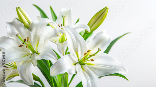Elegant white lilies with space for text, perfect for spring themes, Easter, or sympathy cards, isolated on a white background