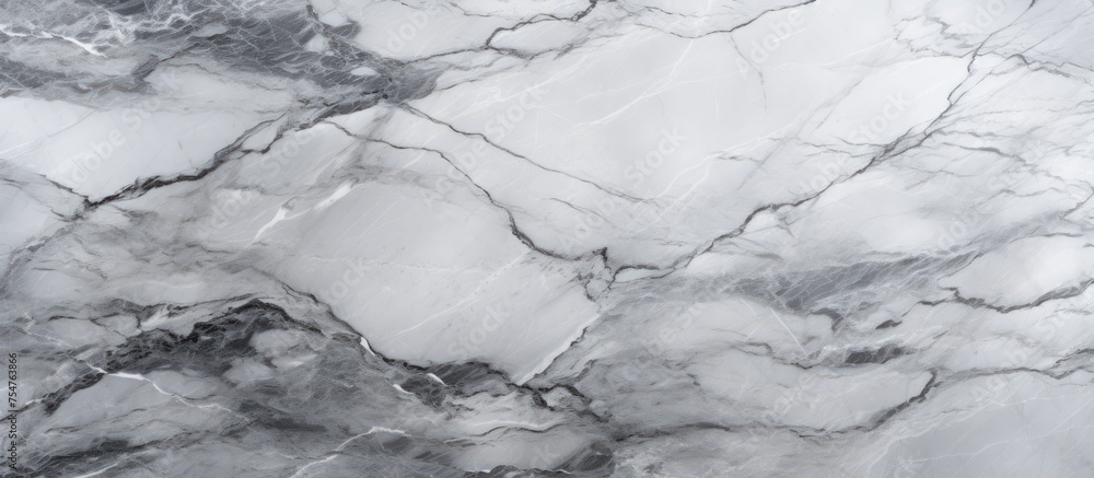 Obraz premium A grayscale abstract texture featuring the intricate patterns of natural marble. The black and white hues create a visually striking background suitable for various design projects.