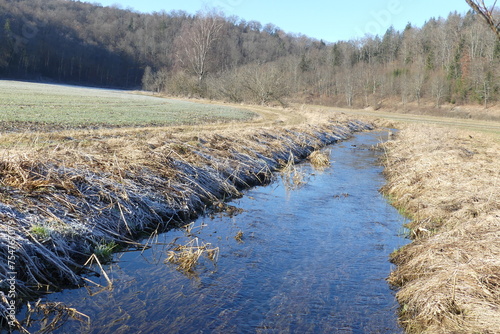 Die Büttnau im Vorfrühling