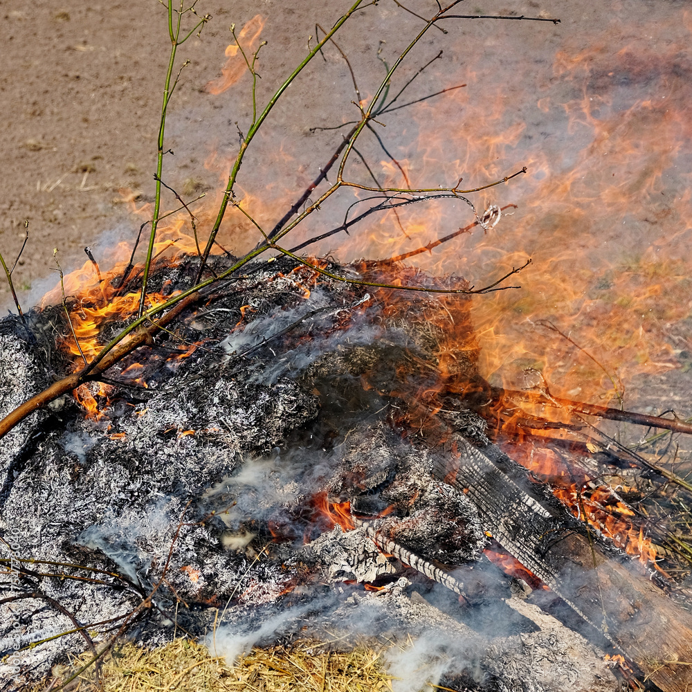 Bright flames consume the remnants of a bonfire. Bright flames consume the remnants of a bonfire.
