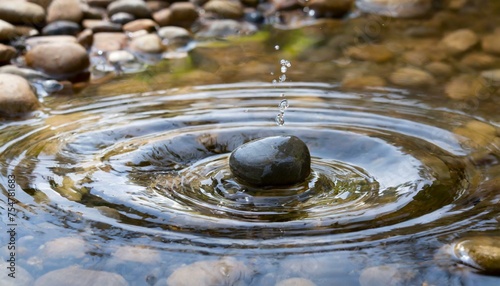Echoes of Motion: Exploring the Ripple Effect of a Dropped Pebble"