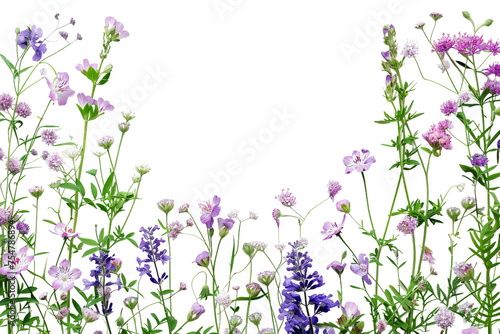 spring flowers frame on transparent background overlay texture with copy space