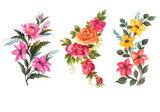 new beautiful bunch floral set vector illustration