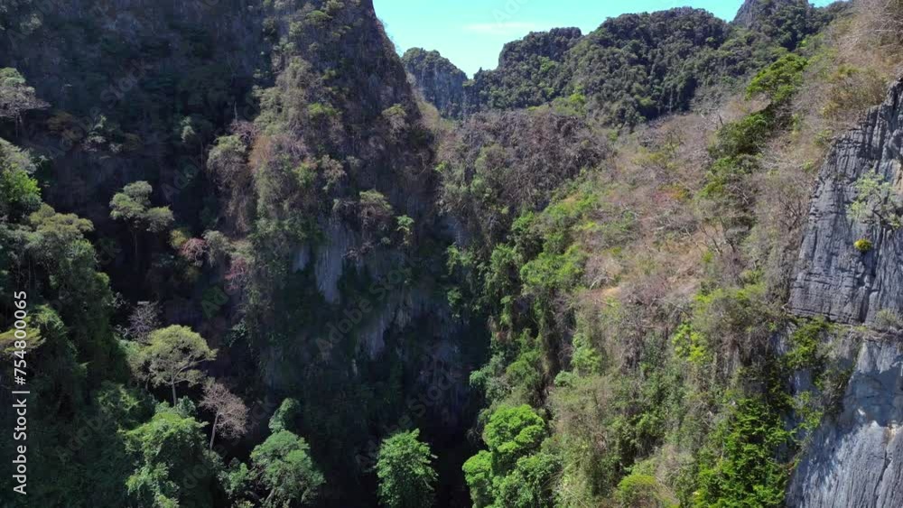 Primeval forest island jungle hills cliffs Breathtaking aerial view flight drone Primeval forest island jungle hills cliffs Breathtaking aerial view flight drone