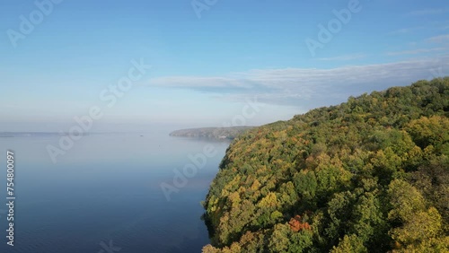 Wallpaper Mural A view from a drone of a forest and a river stretching beyond the horizon. Torontodigital.ca