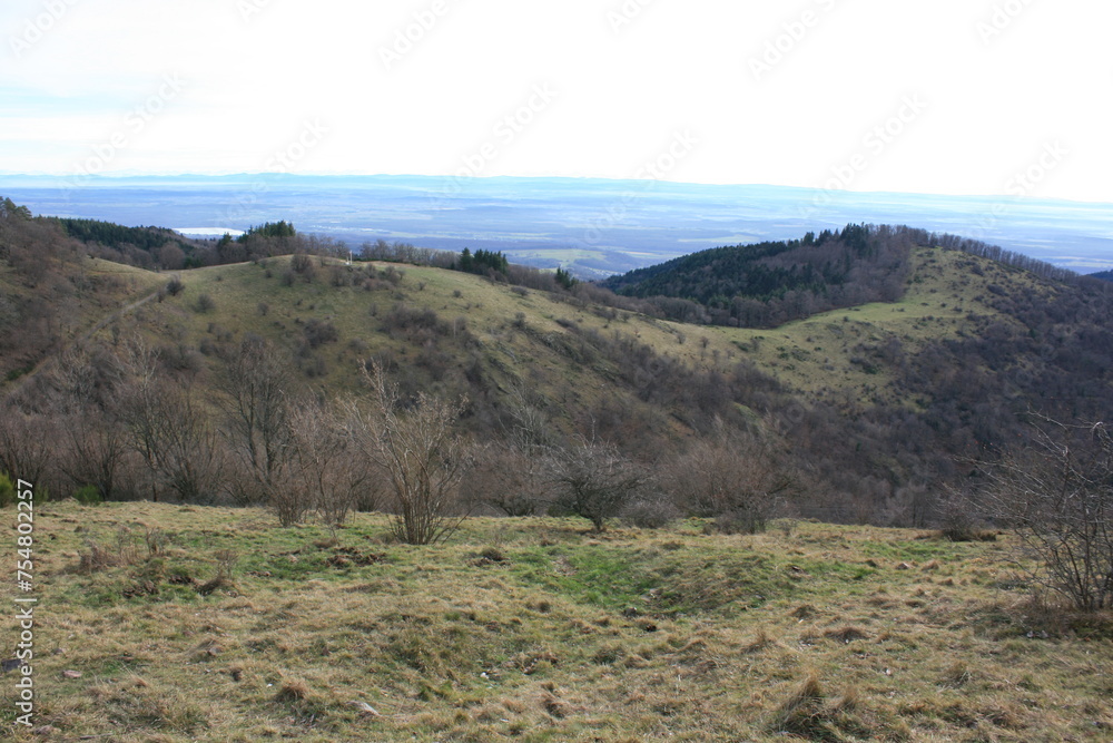 Au-dessus du col du Hundsrück, massif des Vosges, entre les vallées de Thann et de Masevaux (Alsace, Haut-Rhin, France) Au-dessus du col du Hundsrück, massif des Vosges, entre les vallées de Thann et de Masevaux (Alsace, Haut-Rhin, France)