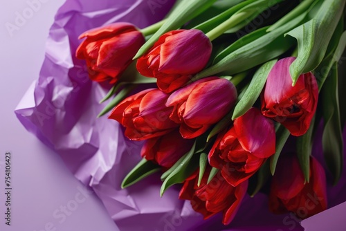 Vibrant Red Tulips on Purple Paper Background with Copy Space
