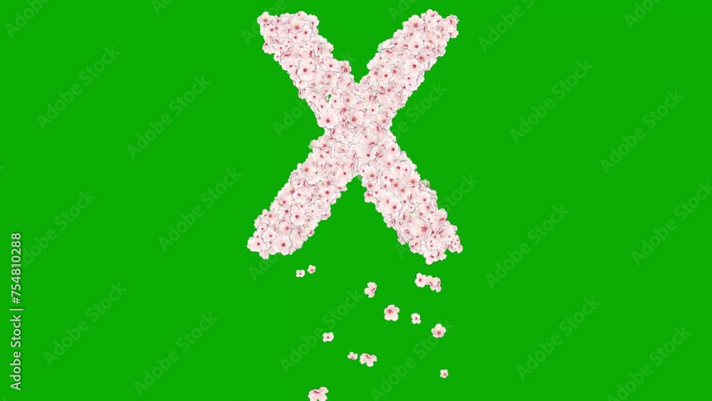 English alphabet X with cherry flowers on green screen background English alphabet X with cherry flowers on green screen background