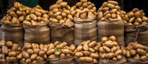 A heap of fresh potatoes is piled up next to bags of potatoes on display at a market for sale. The potatoes are stacked neatly, ready for customers to purchase and enjoy the healthy produce.