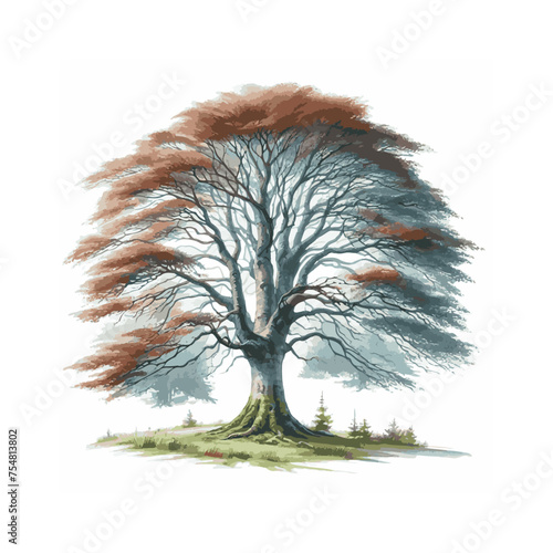 watercolor of beech tree isolated on white background
