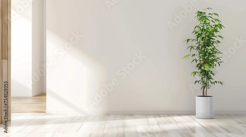 Modern Entryway with Minimalistic Potted Plant