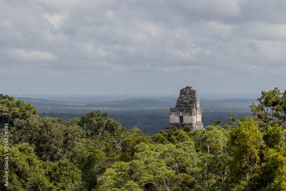 Temple I or gran jaguar at Tikal National Park, ancient mayan ruins in Guatemala on sunny day