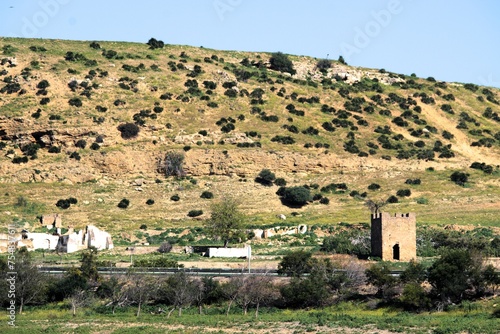 Wallpaper Mural Landscape detail, Carmona. Seville. Spain Torontodigital.ca