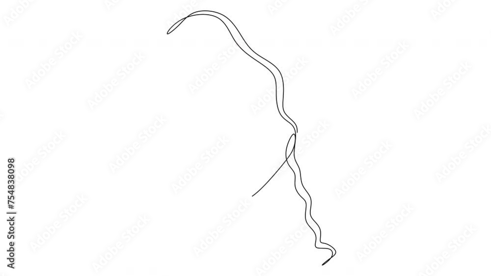 abstract lines of a woman's face abstract lines of a woman's face