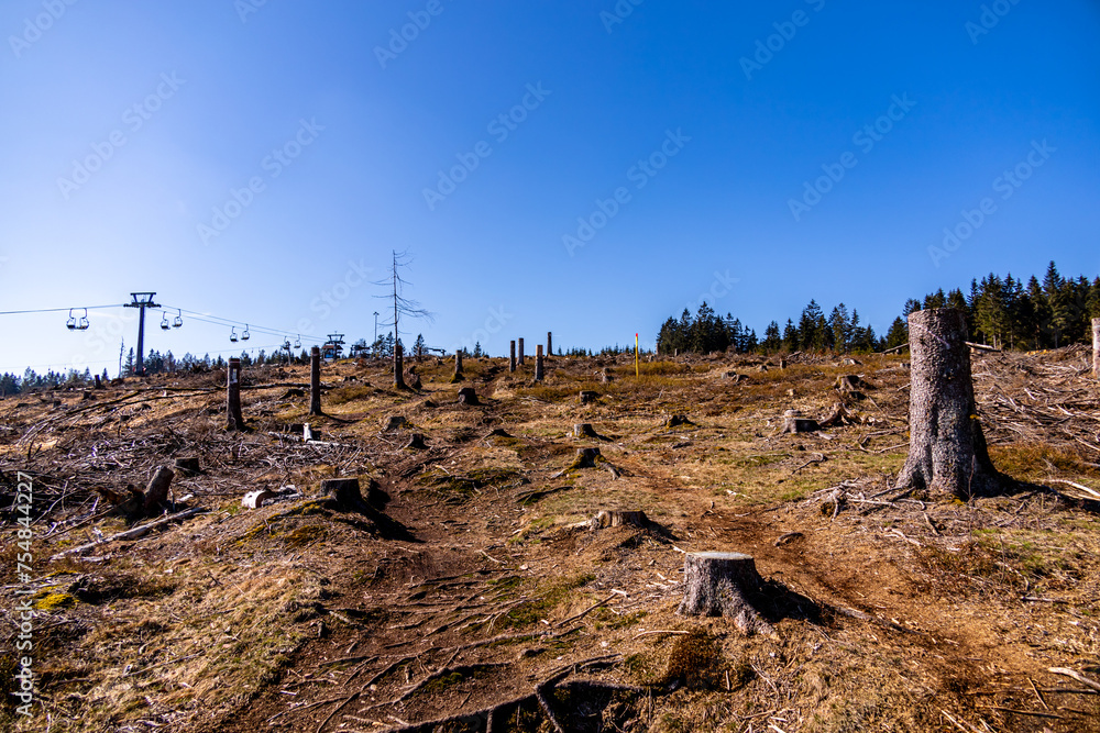 Eine Frühlingshafte Wanderzeit durch den wunderschönen Thüringer Wald bei Steinach - Thüringen - Deutschland Eine Frühlingshafte Wanderzeit durch den wunderschönen Thüringer Wald bei Steinach - Thüringen - Deutschland