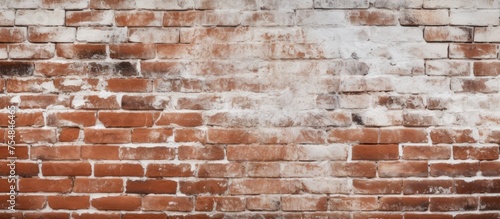 A red brick wall with white plaster partially covering it stands in the background. In front of the wall, there is a sturdy wooden bench. The scene gives off a sense of sturdiness and simplicity.