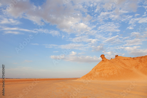 Beautiful landscape at Ong Jmal in Eriguet dunes  Chott el-Gharsa  Tunisia