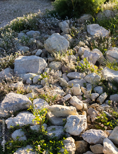 natürlicher Steinboden am tag, gut beleuchtet, kleine und große steine, am wegesrand, Malta