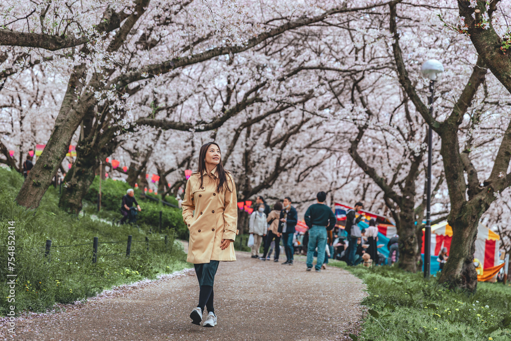 Traveler asian woman travel in sakura cherry blossom  tree in Gongendo park Saitama Japan in spring season - obrazy, fototapety, plakaty 