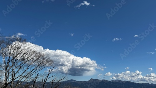 青雲