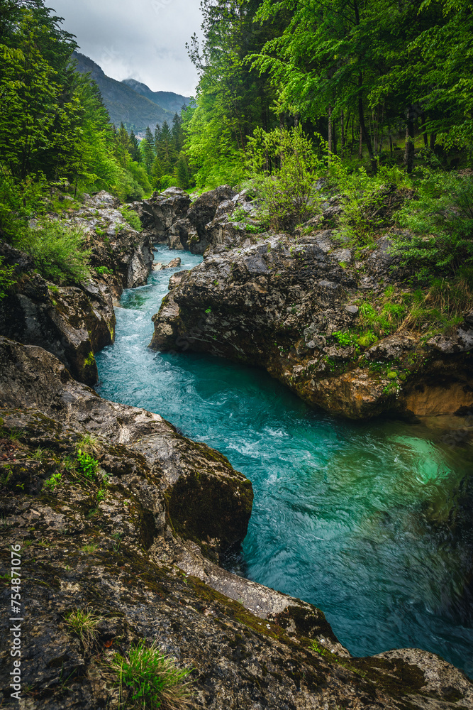 Winding Soca river in the green forest, Trenta, Slovenia