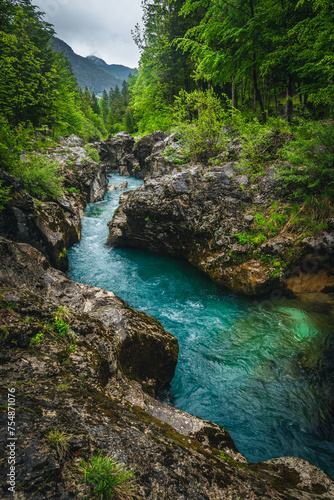 Winding Soca river in the green forest, Trenta, Slovenia