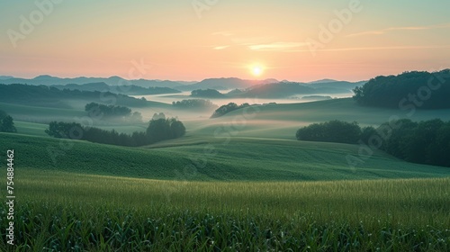 Sunrise Hues Over Misty Agricultural Fields