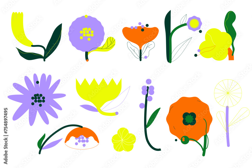 Flowers and leaf, botanical elements set. Floral plants, spring and summer blooms, leaves, wildflowers. Natural design elements collection. Flat vector illustrations isolated on white background.