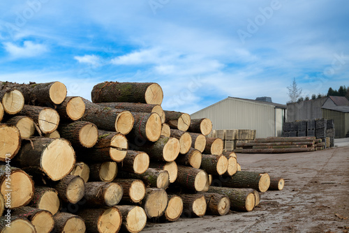 troncs de chêne empilés à la scierie