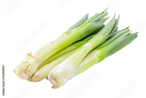 onion isolated on white background