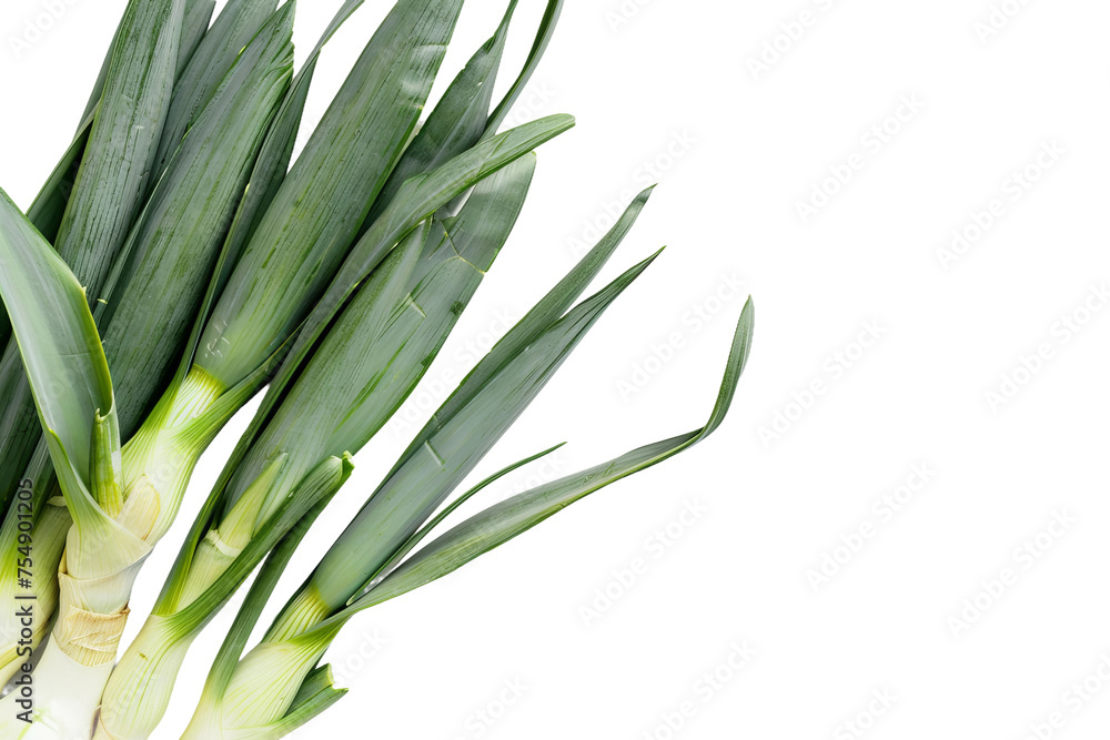 Obraz premium onion isolated on white background