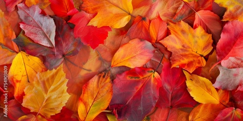 A vibrant collage of autumn leaves in shades of red  orange  and yellow  capturing the warm essence of fall.