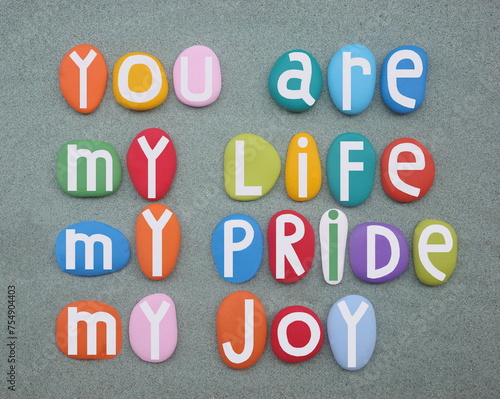 You are my life, my pride, my joy, creative love message composed with hand painted multi colored stone letters over green sand