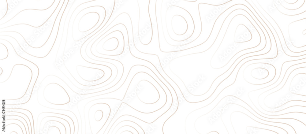 Abstract topography wavy line map background. vector illustration. topography map on land vector terrain Illustration. Black on white contours vector topography stylized height of the lines.	