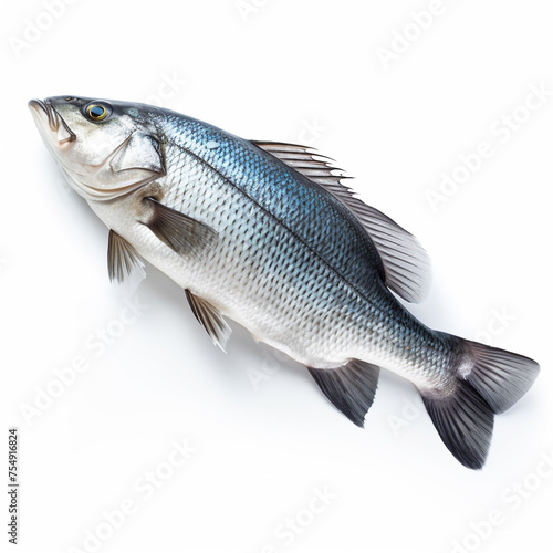 Sea bass fish on white background сreated with Generative Ai
