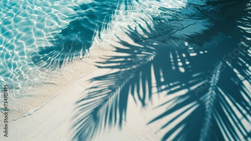 Tropical Leaf Shadow on Water Surface with Beach Sand