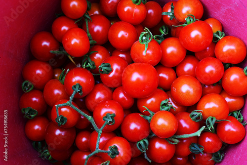 red cherry tomatoes © Tongsai Tongjan
