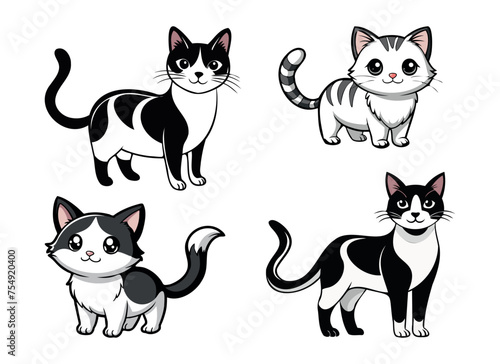 set of black and white cute cats in different poses © Ivanna