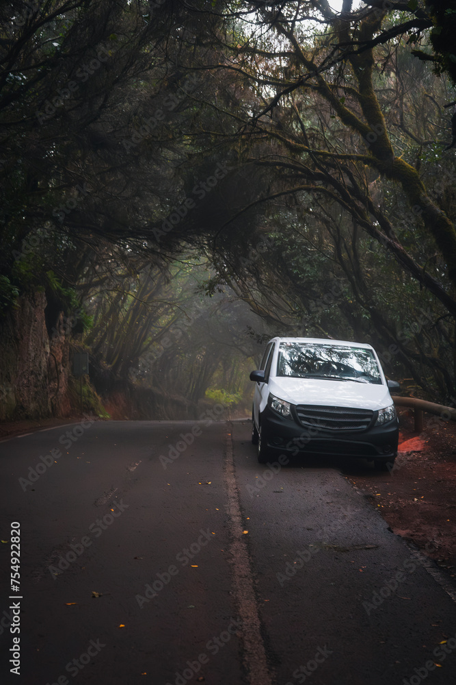 The car is parked on the road in the mountains of Anaga in Tenerife in a laurel forest. Evergreen forests and roads of the Canary Islands.