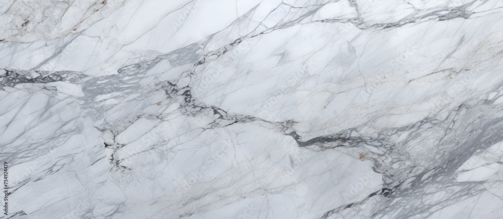 A closeup of white marble texture resembles freezing snow on a slope. The landscape resembles a bedrock, with water flowing like twig veins. Perfect for flooring or event decor A closeup of white marble texture resembles freezing snow on a slope. The landscape resembles a bedrock, with water flowing like twig veins. Perfect for flooring or event decor