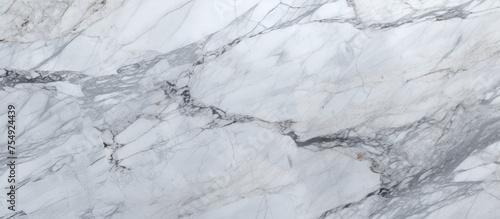 A closeup of white marble texture resembles freezing snow on a slope. The landscape resembles a bedrock, with water flowing like twig veins. Perfect for flooring or event decor