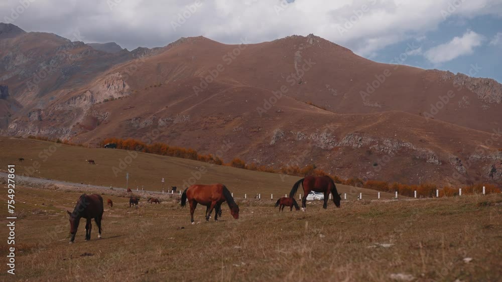 A beautiful, cinematic mountain landscape with a herd of wild horses in a meadow