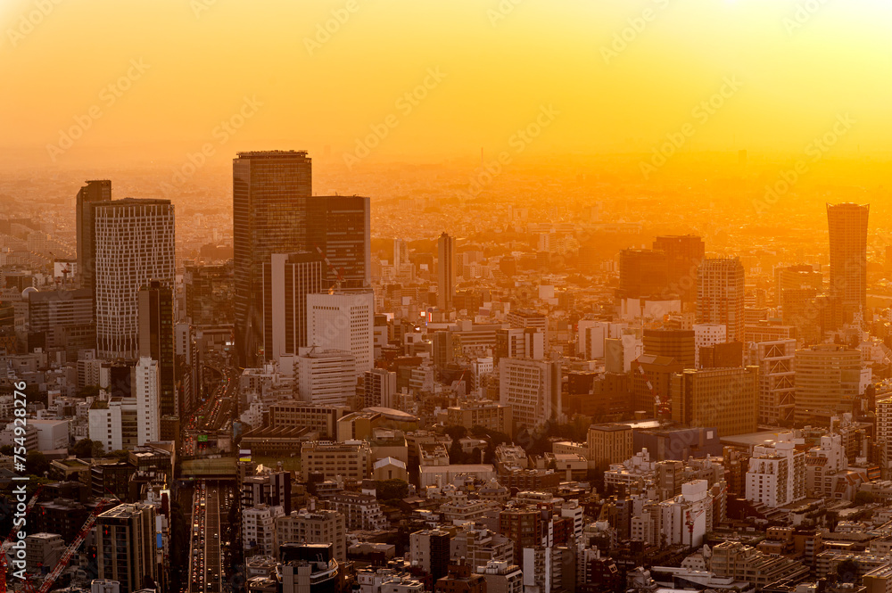 Cityscapes of tokyo gold sunset winter, Skyline of Tokyo, office building and downtown of tokyo in minato, Japan, Tokyo is the world's most populars metropolis and centers for world business.
